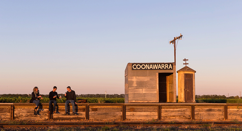 Patrick of Coonawarra shed